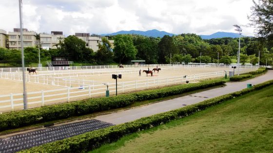 anewr automatic noise