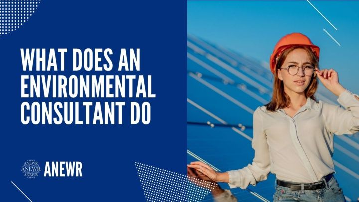 what does an env consultant do